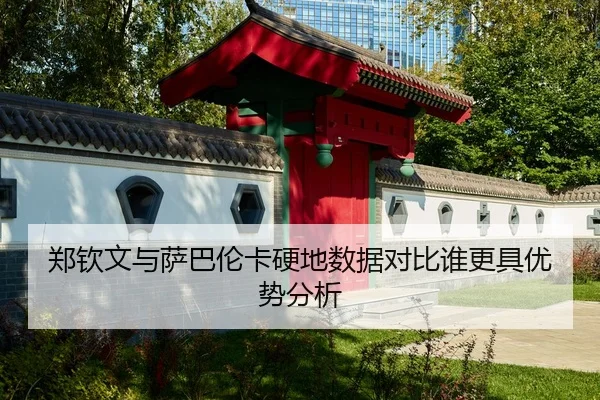 郑钦文与萨巴伦卡硬地数据对比谁更具优势分析